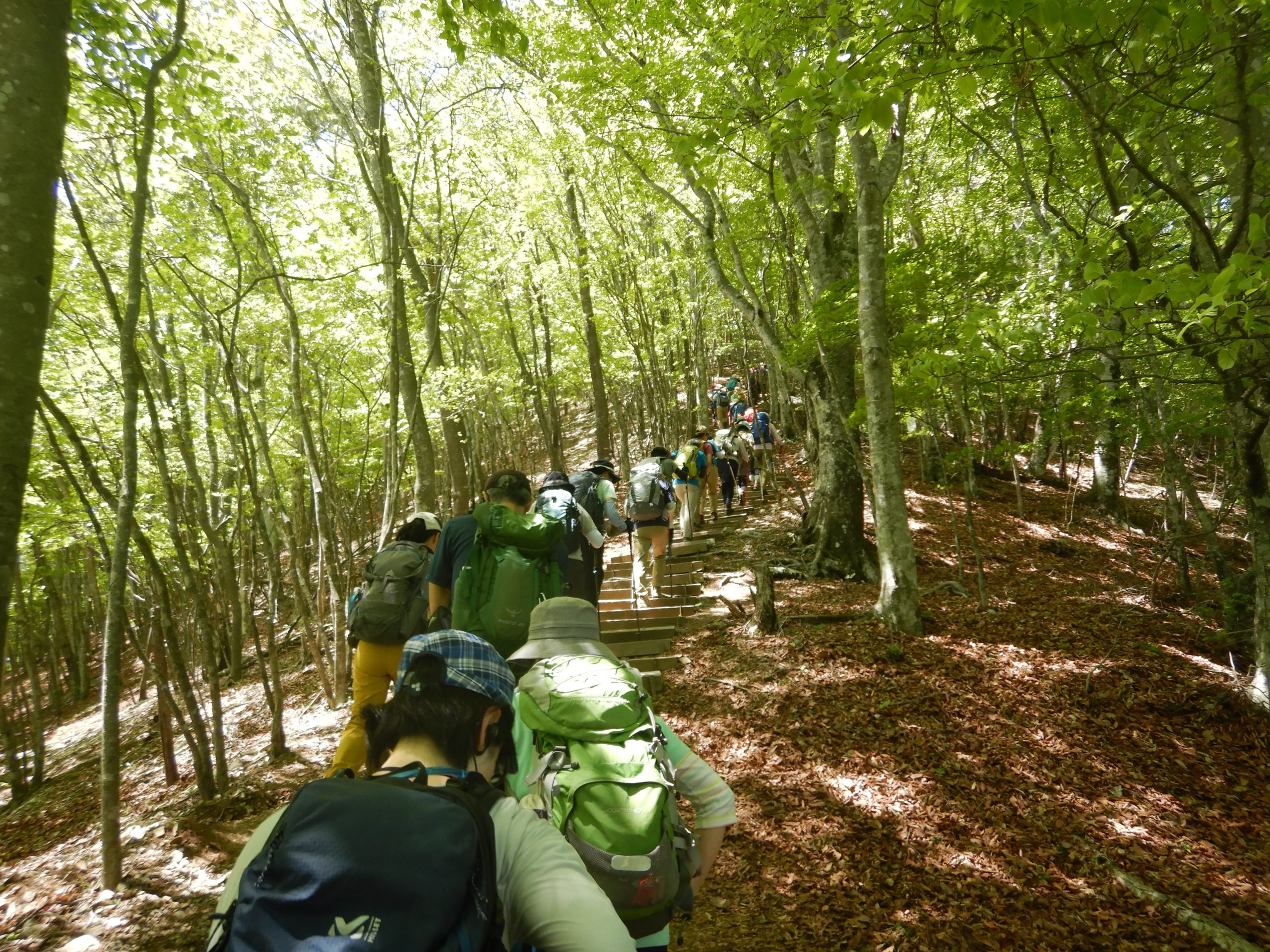 春の奥多摩がっつり山歩き～鶴峠＆日の出山
