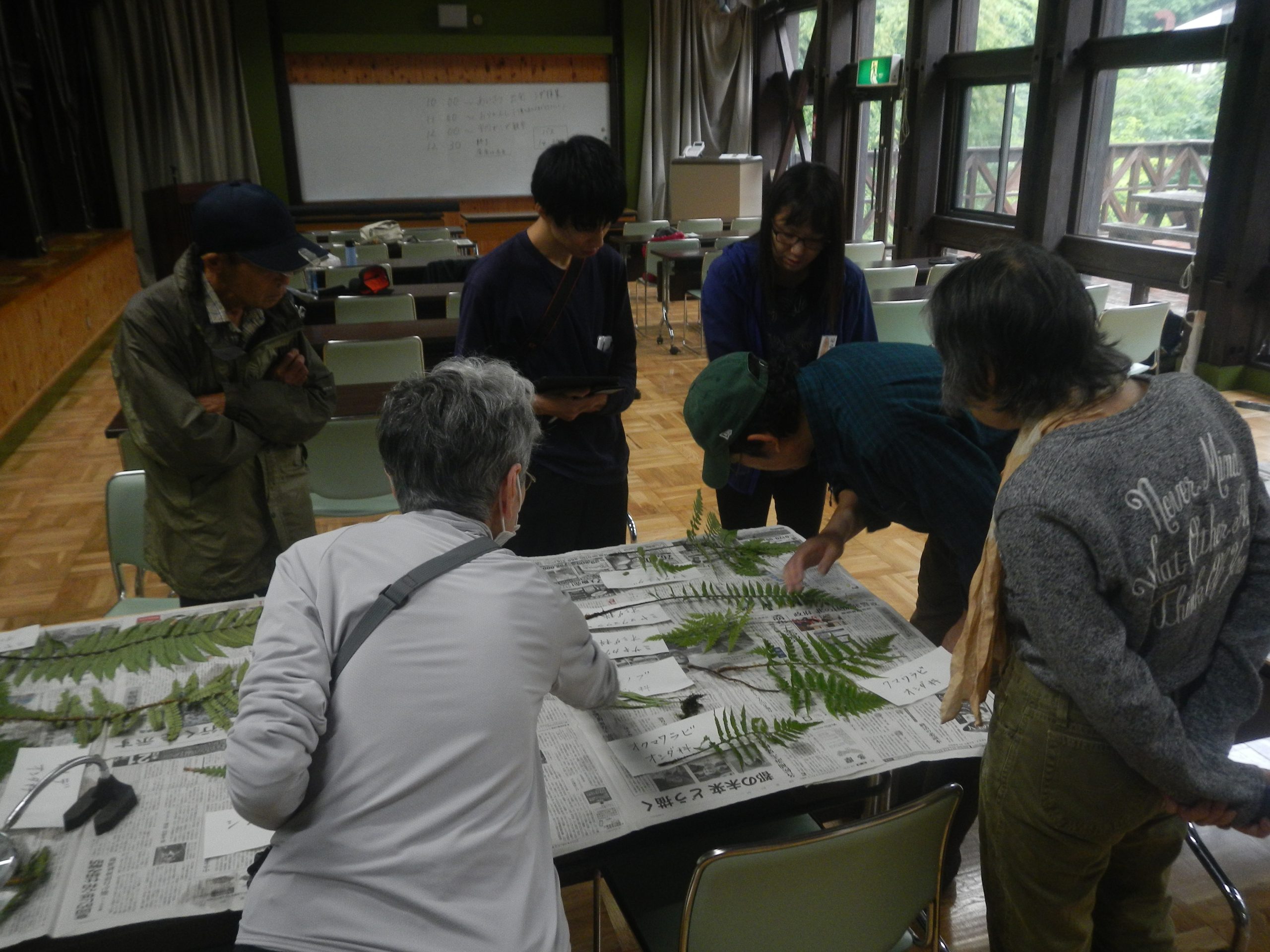 シダ観察と植物標本講座