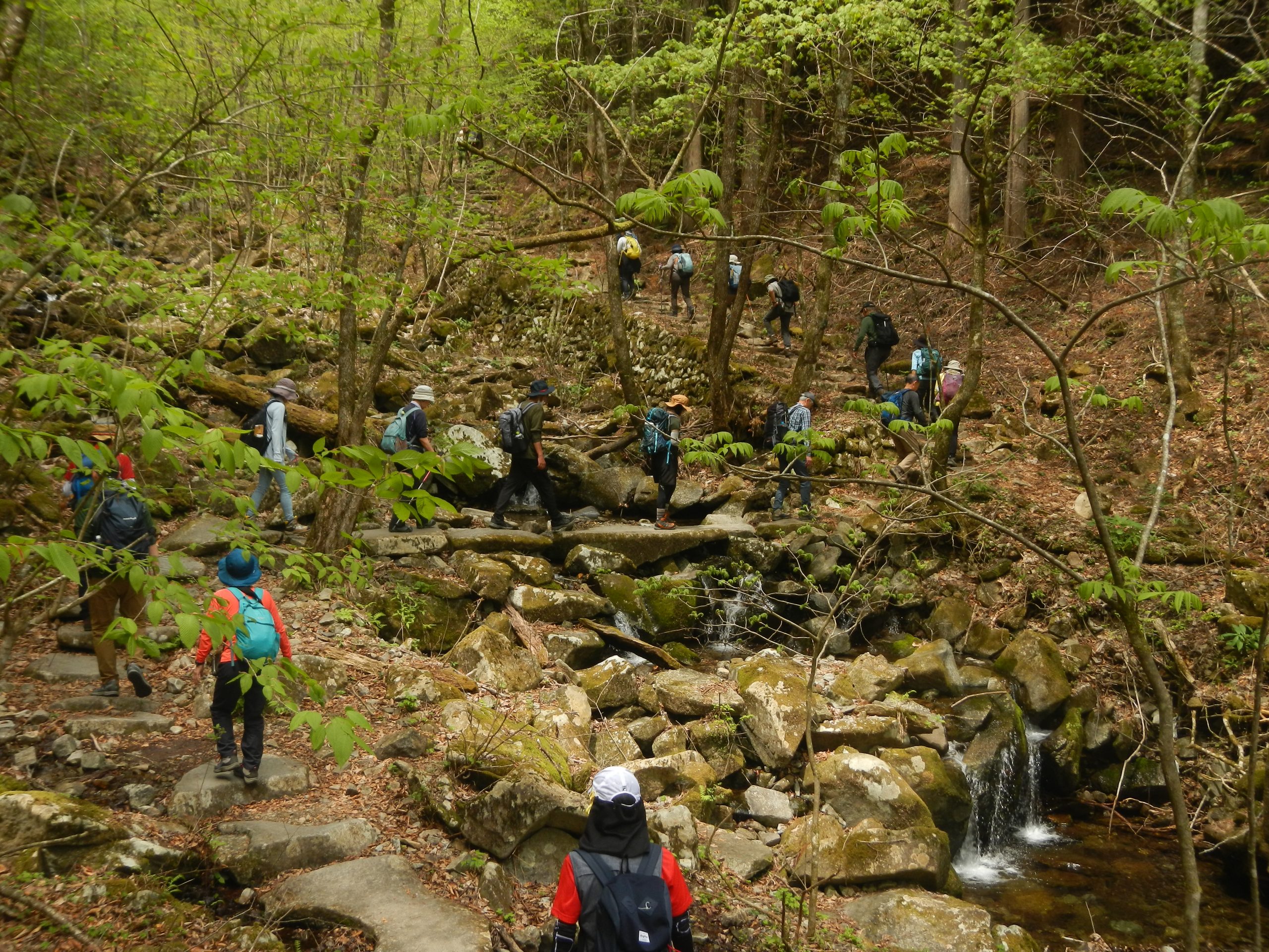 春の三頭山登山