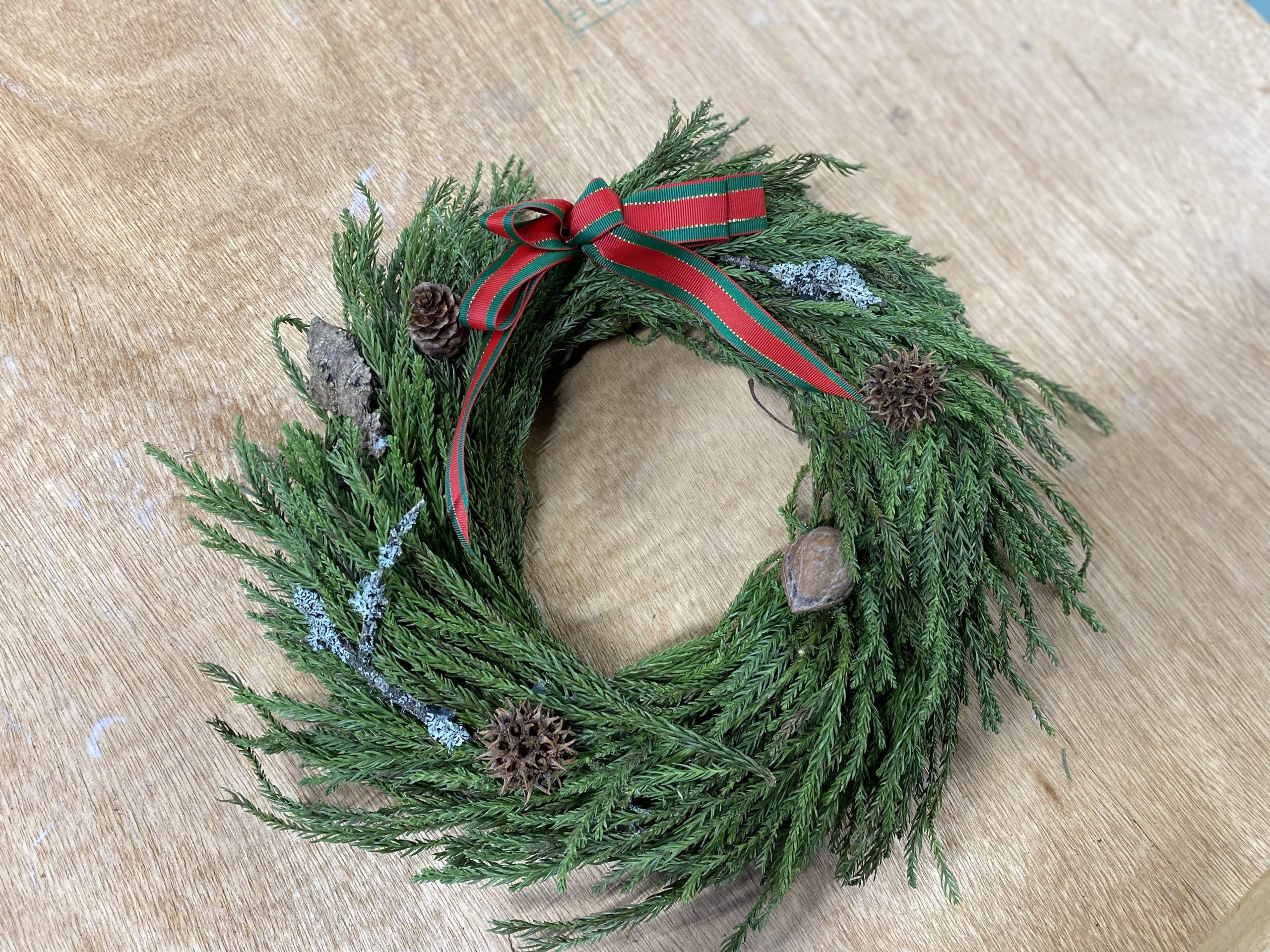 スギの葉でクリスマスリース作り