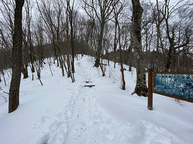 軽アイゼン登山教室