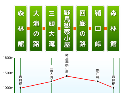 三頭沢と野鳥のコース ルート