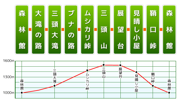 ããã®è·¯ã³ã¼ã¹ ã«ã¼ã