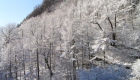 冬：雪景色