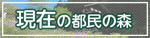 都民の森周辺の天気