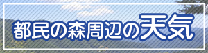 都民の森周辺の天気