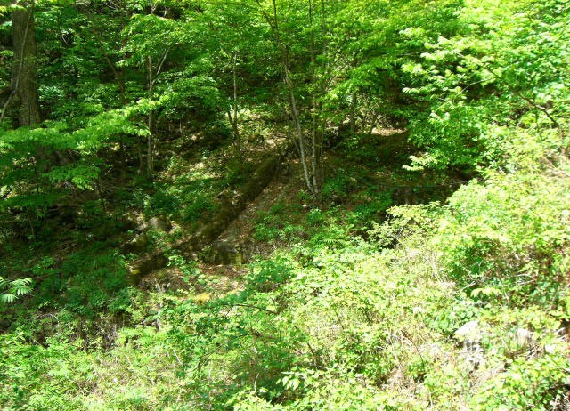 野鳥観察小屋の中より見た風景